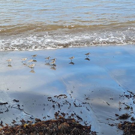 La Kaz Nature Bien-Etre Petit-Bourg Eksteriør bilde