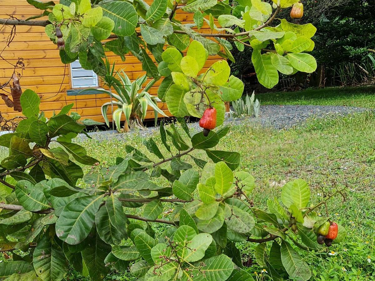 La Kaz Nature Bien-Etre Petit-Bourg Eksteriør bilde