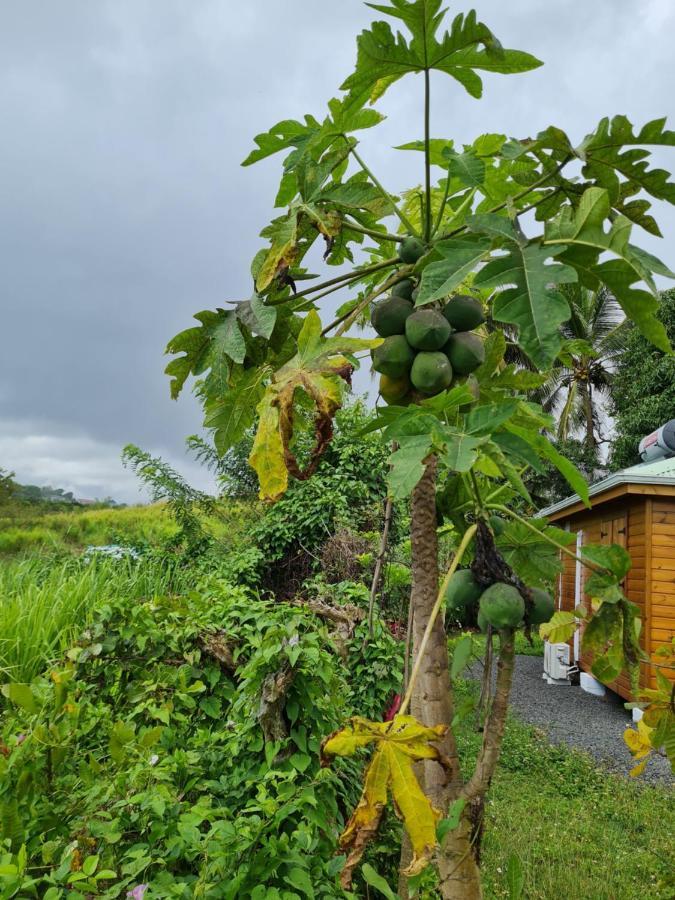 La Kaz Nature Bien-Etre Petit-Bourg Eksteriør bilde